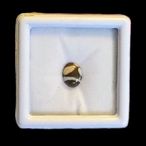 NEW Peanut Wood Jasper Gemstone (1.37 ctw)